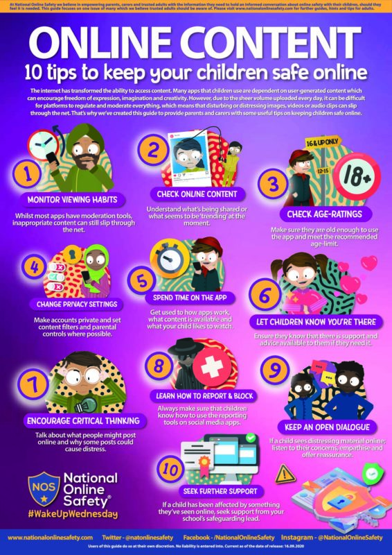 National Online Safety Online Content Flyer image.